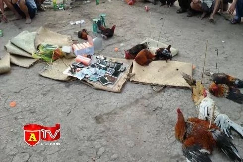 Cờ bạc là nguồn phát sinh nhiều loại tội phạm