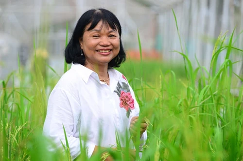 Vinh danh các nhà khoa học nữ xuất sắc Việt Nam năm 2016