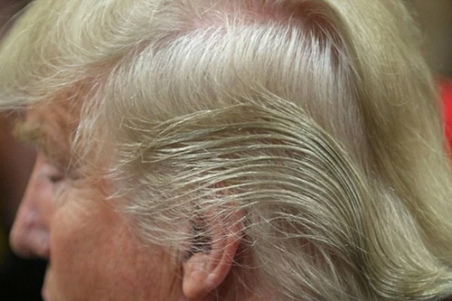 Sự thật không thể tin nổi về mái tóc "nổi tiếng" của ông Donald Trump