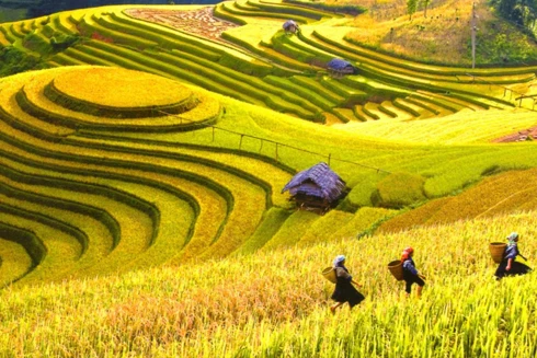 Truyền hình Đức quảng bá Việt Nam