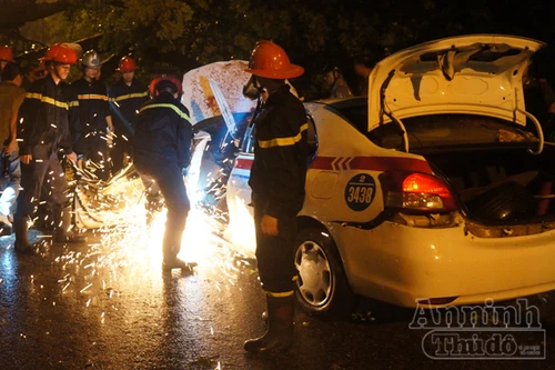 Xà cừ cổ thụ bật gốc, lái xe taxi chết oan uổng