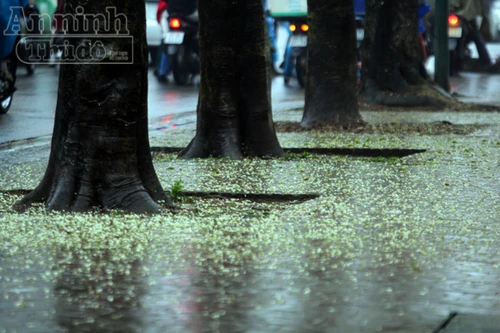 Mưa phùn kéo dài, Hà Nội trầm lắng