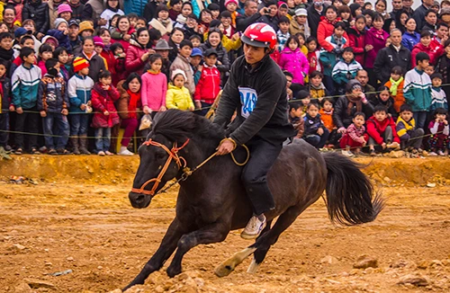 Mãn nhãn xem ngựa đua Bắc Hà sải vó tại Thủ đô