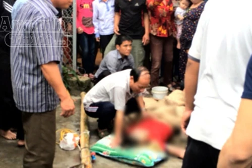 Hạ cây nêu ngày Tết, 2 thanh niên bị điện giật nguy kịch