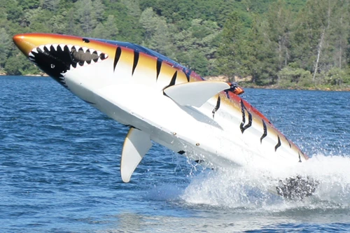 Xem "cá mập" bơi với tốc độ kinh hoàng 80km/h