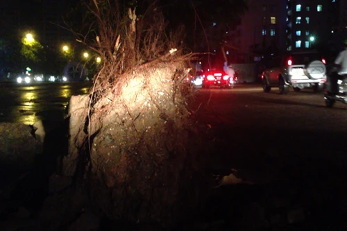 Hà Nội: Mưa to, giông lớn, cây cối đổ ngổn ngang