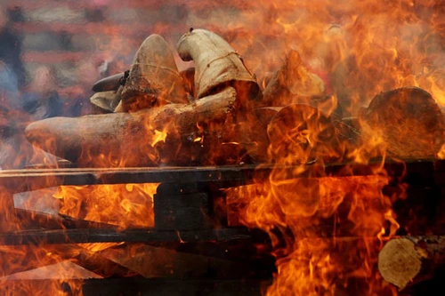 Xem 50 kg sừng tê giác bị đốt đỏ lửa