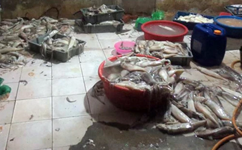 Nhìn cảnh này, ai còn dám ăn mực "tươi", trắng bóc?