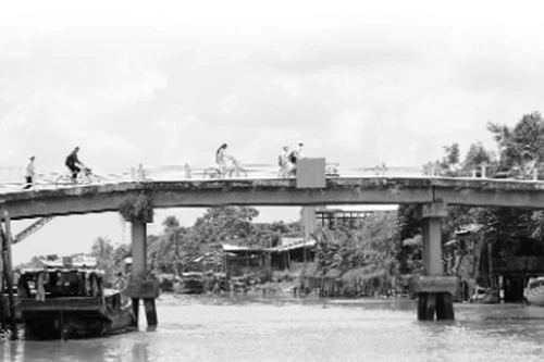 Sông Tiền mùa nước nổi