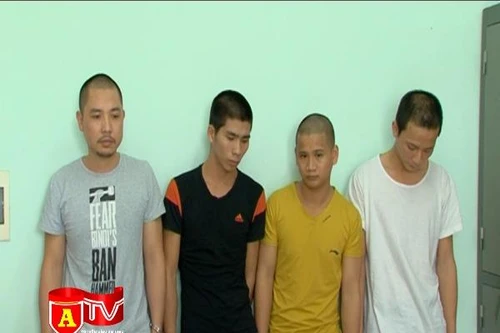 Khám phá ổ nhóm gây ra 50 vụ trộm cắp tài sản