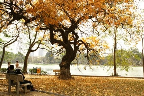 Vũ hội công dân toàn cầu – “Yêu thương trong từng bước nhảy”