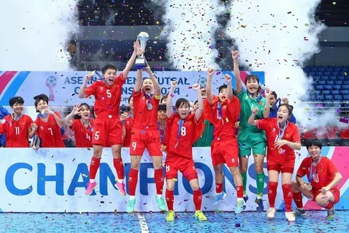 Việt Nam rộng cửa dự World Cup trong lần đầu tiên được tổ chức