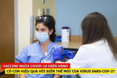 [CLIP] Vaccine ngừa Covid-19 hiện hành có còn hiệu quả với biến thể mới của virus SARS-CoV-2?