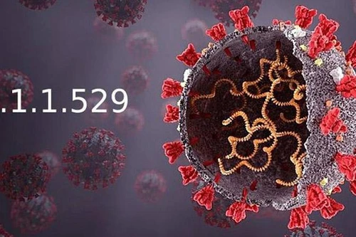 'Siêu biến thể Covid' Omicron là gì mà khiến cả thế giới lo ngại? 