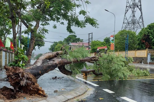 [Tin nhanh tối 18-9-2020] Thiệt hại do bão số 5: 1 người chết và 31 người bị thương 
