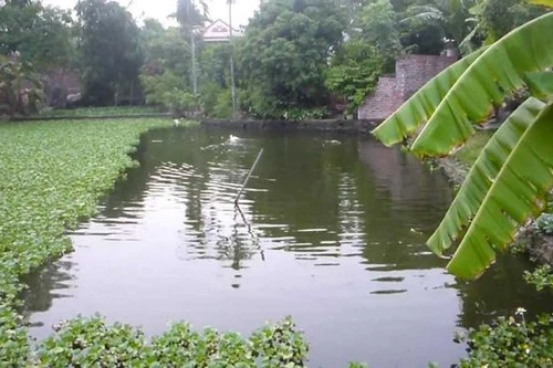 [Tin nhanh tối 14-8-2021] Hà Nội: Bắt giữ 1 nghi phạm vụ phát hiện thi thể trong bao tải dưới ao