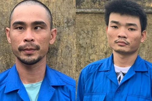 [Tin nhanh sáng 3-12-2022] Bắt giữ hai thanh niên trộm 11 xe máy