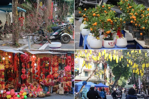 Chợ hoa Hàng Lược rộn ràng đón Tết Nhâm Dần 2022