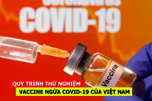 [CLIP] Quy trình thử nghiệm vaccine ngừa Covid-19 của Việt Nam