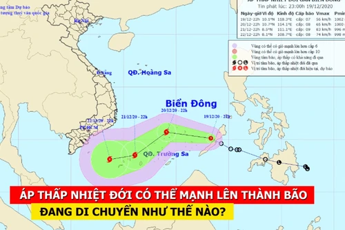 [CLIP] Áp thấp nhiệt đới có thể mạnh lên thành bão số 14 đang di chuyển thế nào?