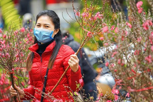 [ẢNH] Ngắm hoa ‘đẹp - độc - lạ’ ở chợ hoa Quảng An ngày giáp Tết 