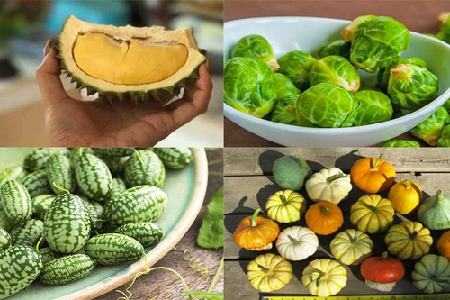 [ẢNH] Lạc vào thế giới tí hon với loạt rau củ quả có kích cỡ siêu nhỏ