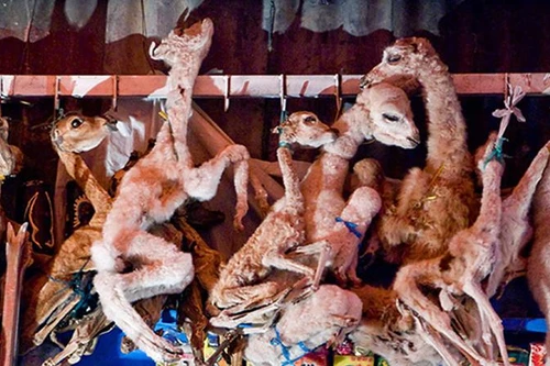 [ẢNH] Bên trong những khu mua sắm độc lạ nhất thế giới