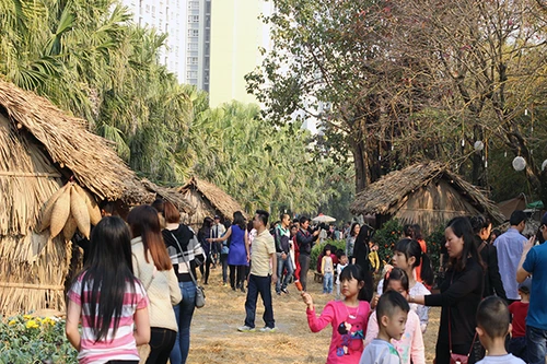 Rực rỡ lễ hội hoa xuân lớn nhất cả nước