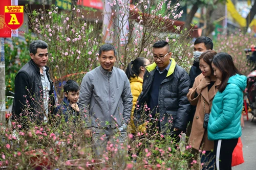 Rực rỡ sắc xuân ở chợ hoa Hàng Lược