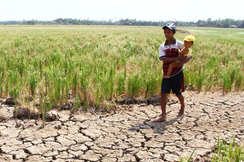 560 triệu USD hỗ trợ đồng bằng sông Cửu Long 