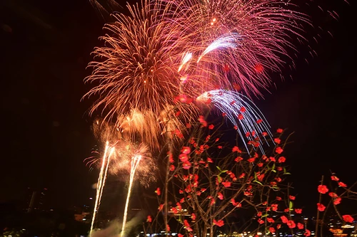 Rực rỡ sắc màu pháo hoa đón chào năm mới