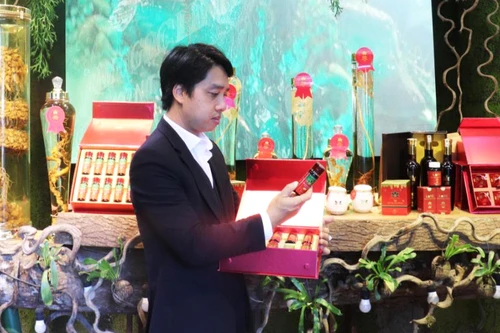 Khẳng định vị thế loại sâm “Quốc bảo của Việt Nam”