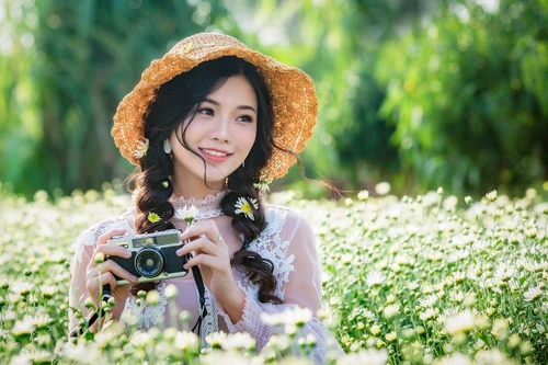 Mùa cúc họa mi gọi đông về Hà Nội