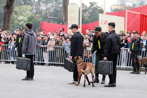 Video: Xem cảnh khuyển truy tìm ma tuý, thuốc nổ