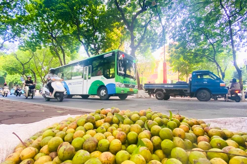 Đón mùa thu Hà Nội về trên con phố Phan Đình Phùng