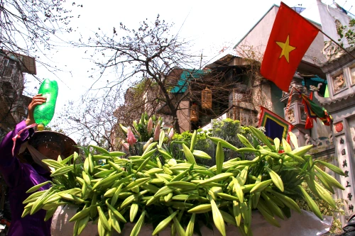 Hà thành dịu dàng với mùa hoa loa kèn tháng 4