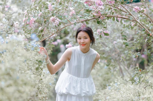 Nữ sinh Hà thành dịu dàng bên tường vi cánh mỏng 