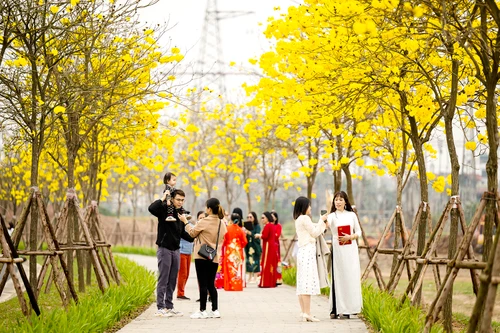 Sức hấp dẫn của du lịch Hà Nội từ những con đường hoa