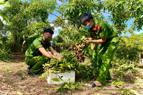 Chiến công... đem thương nhớ