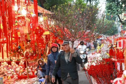 Rực rỡ sắc màu không gian chợ hoa Hàng Lược