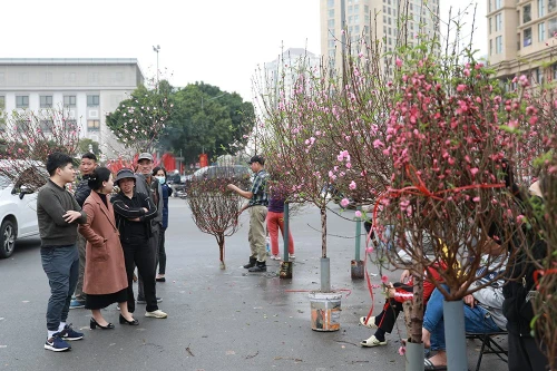 Hà Nội nhộn nhịp ở các chợ hoa ngày giáp Tết