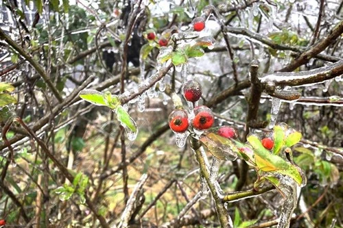 Cận cảnh băng giá ở những tỉnh vùng núi phía Bắc 