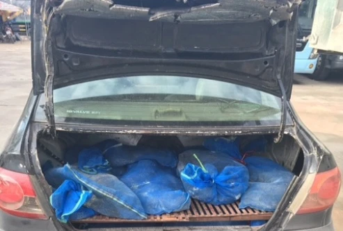 CSGT phát hiện, thu giữ hàng chục con kỳ đà không rõ nguồn gốc