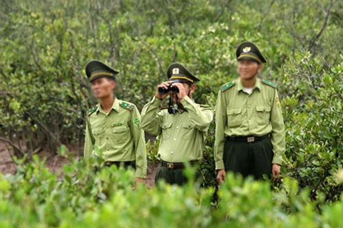 Trạm trưởng kiểm lâm bị đâm trọng thương