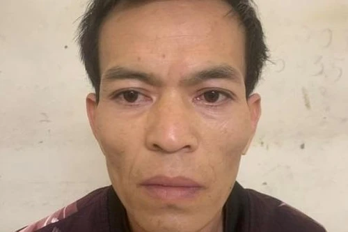 Đối tượng có tiền án về ma túy vẫn 'ngựa quen đường cũ'