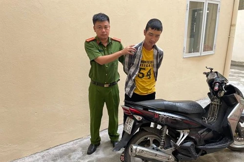 Vừa ra tù lại gây ra hàng loạt vụ cướp giật, trộm cắp tài sản