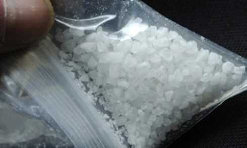 "Ngáo đá", mang ma túy đến nộp cơ quan Công an