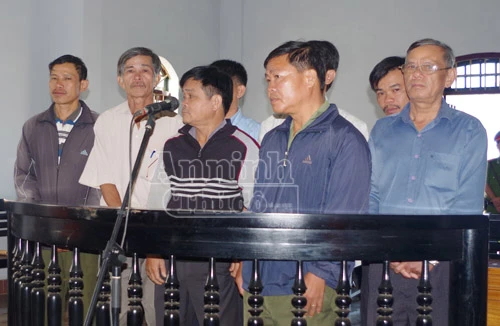 Xét xử GĐ, PGĐ để mất hơn 1.000ha rừng