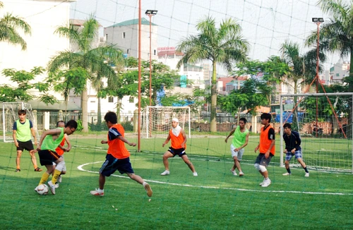 Dịch vụ hái ra tiền