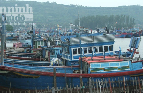 Sẵn sàng ứng phó với bão số 7